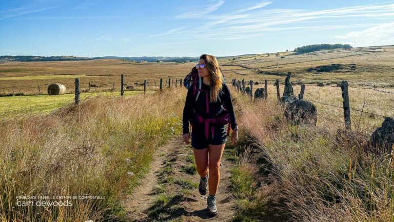 pourquoi faire le chemin de compostelle