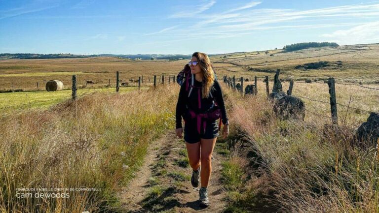 why do people walk the camino de santiago