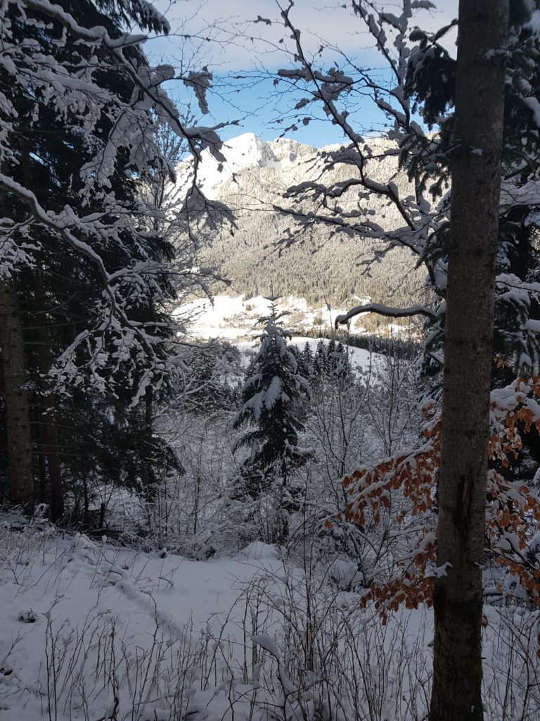 Raidlight Winter Trail