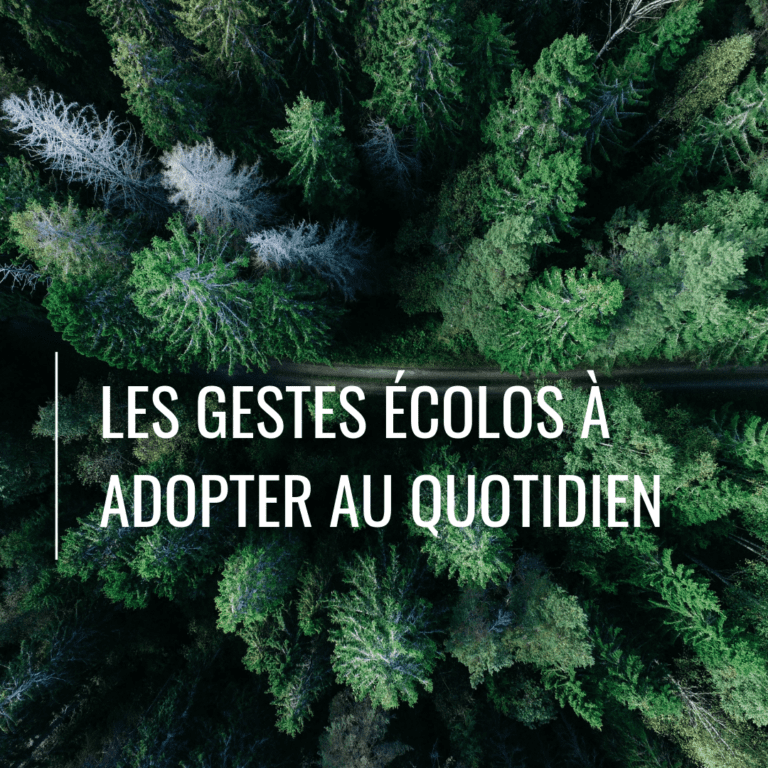 Les gestes écolos à adopter au quotidien - blog zéro déchets