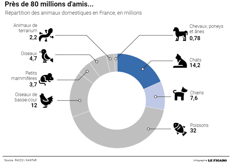 nombre animaux domestiques en France 2021