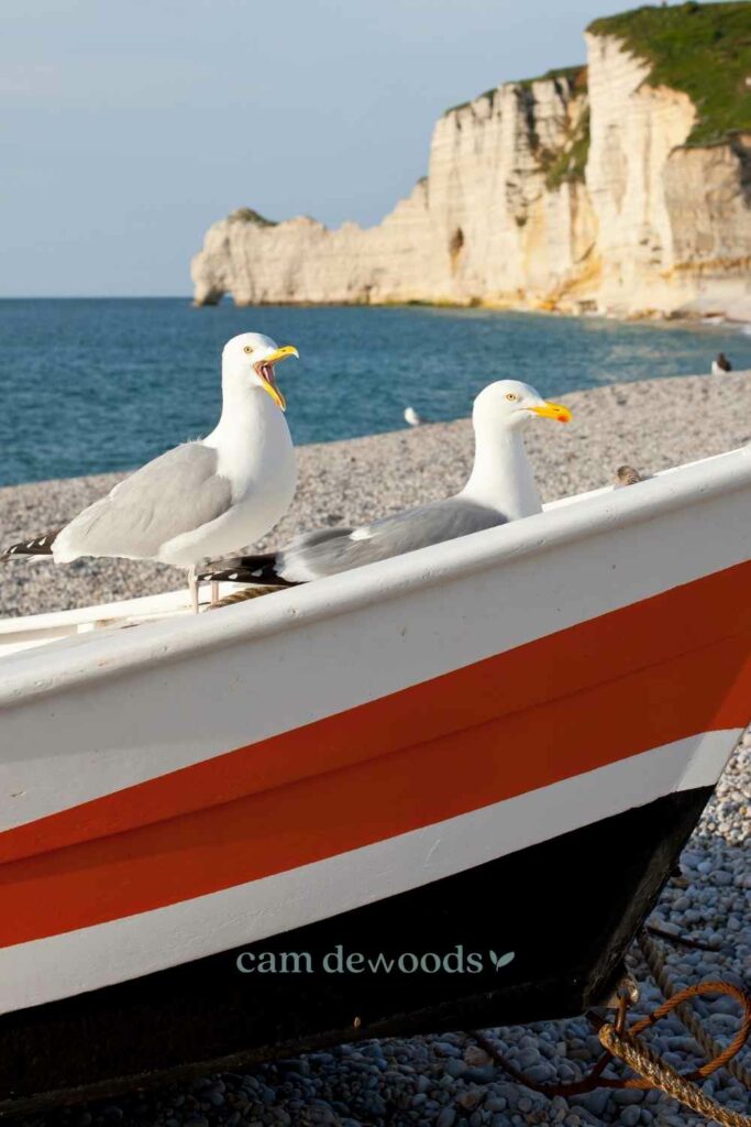 itinéraire Normandie Etretat