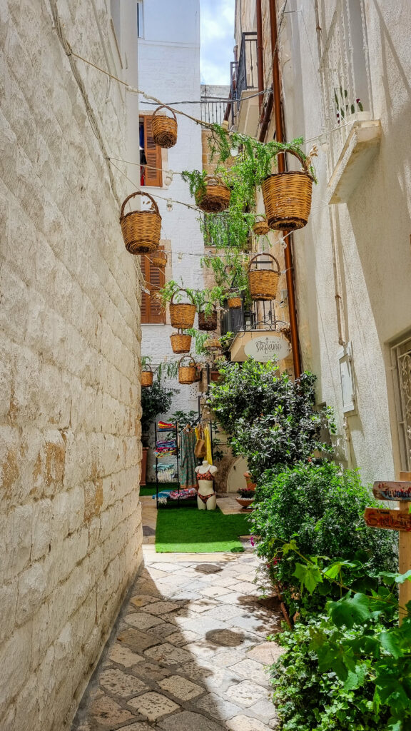 que faire a polignano a mare​