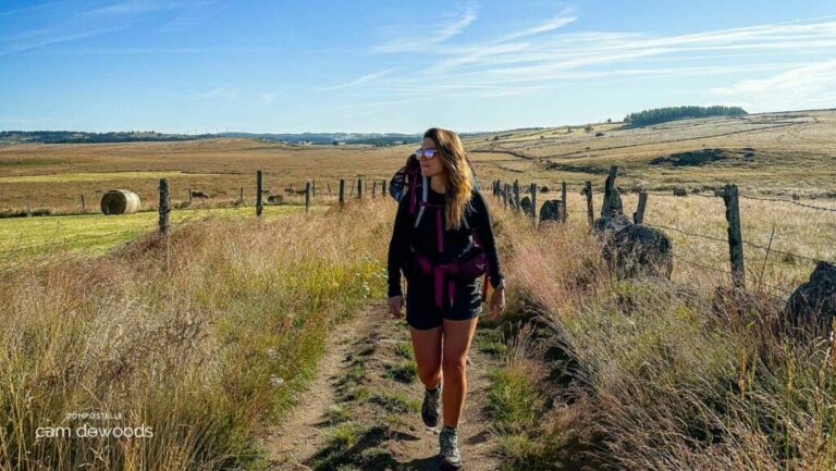 How many miles a day on Camino de Santiago