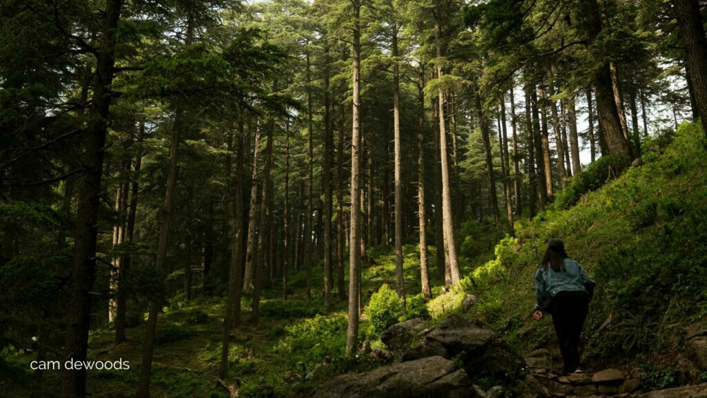 Sécurité en randonnée seul