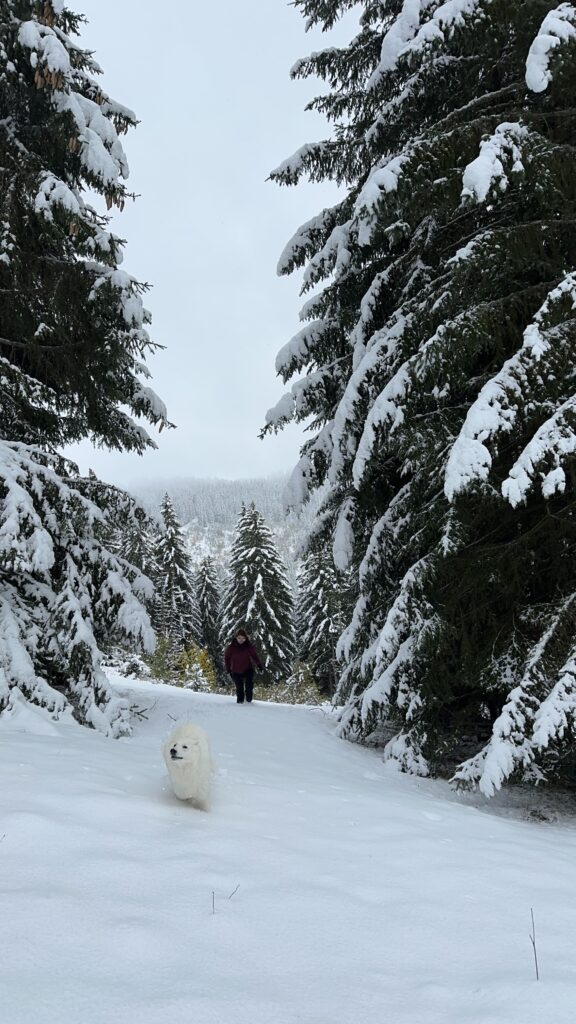 balade en raquette la clusaz