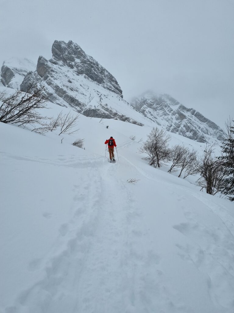 randonnée raquette la clusaz​