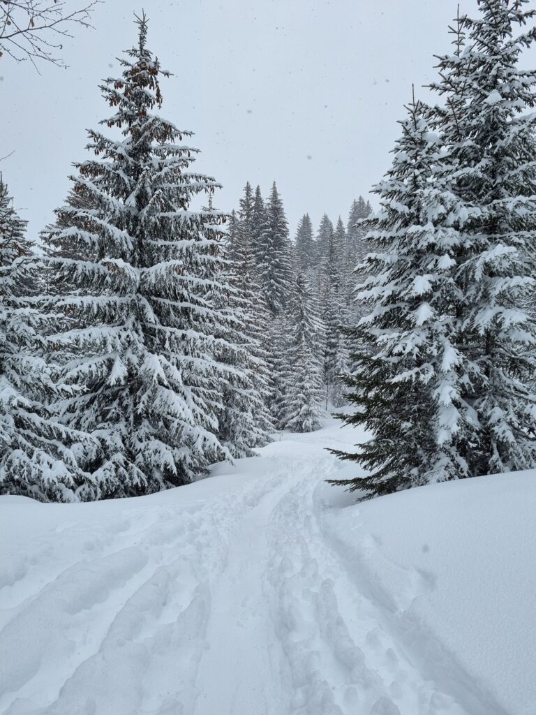 sortie raquette la clusaz