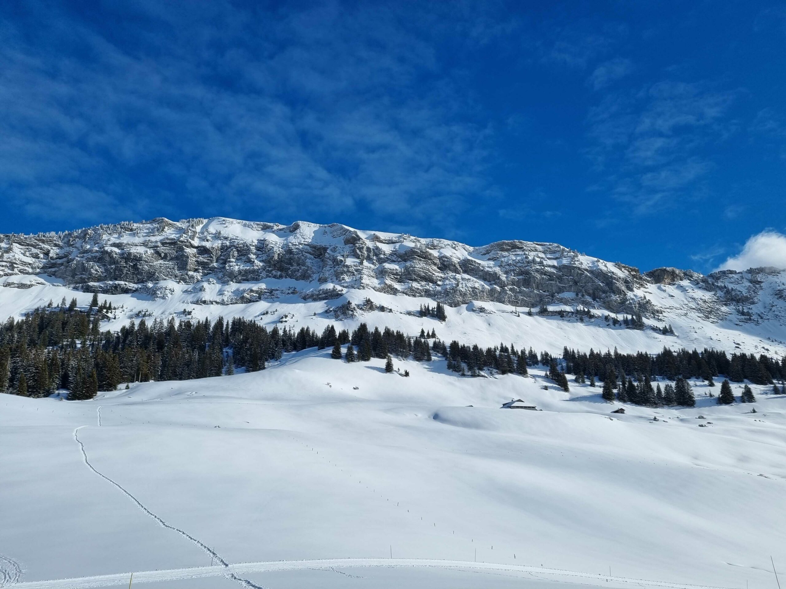 balade en raquette annecy​ - glières