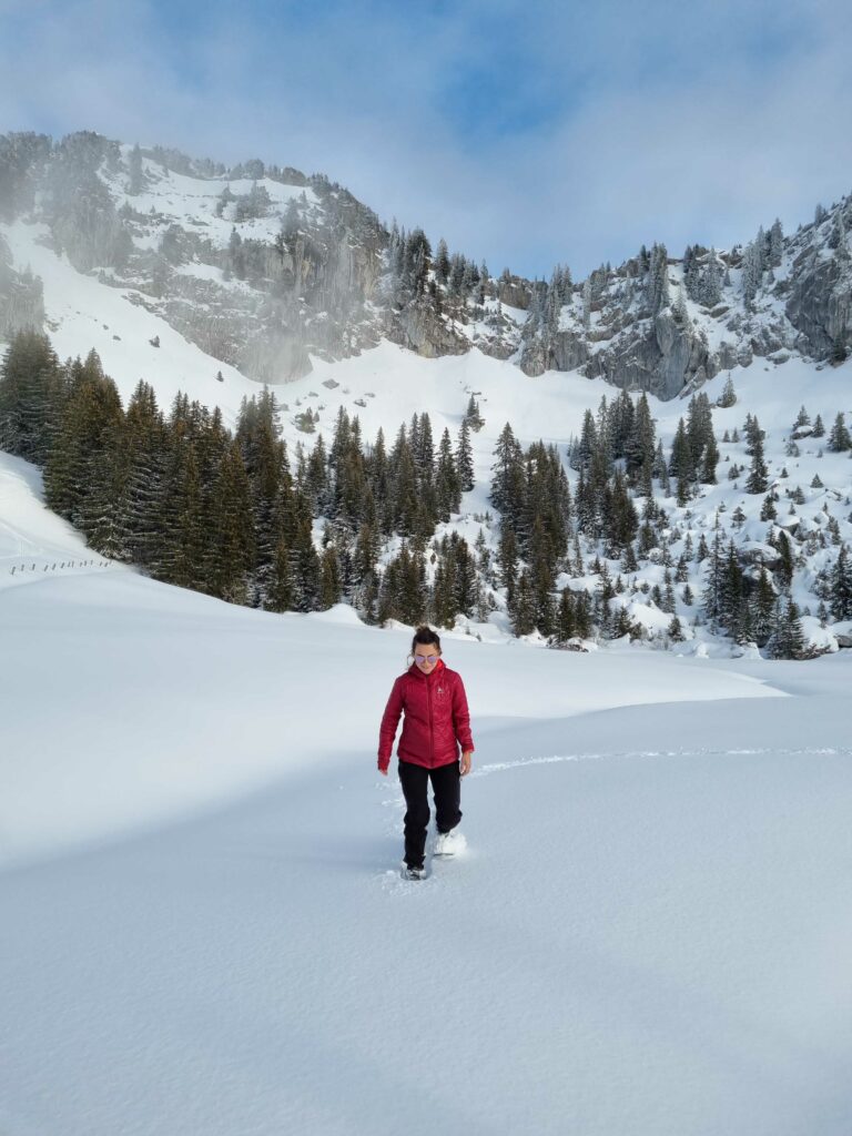 balade en raquette annecy​ - glières