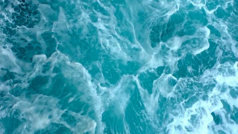 magnésium marin bienfaits