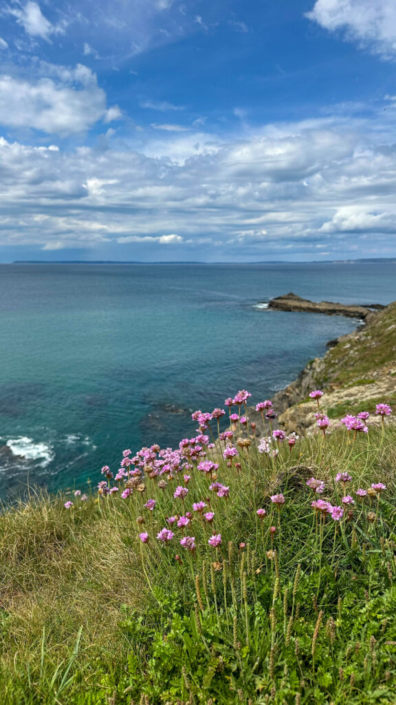 brest terres océanes