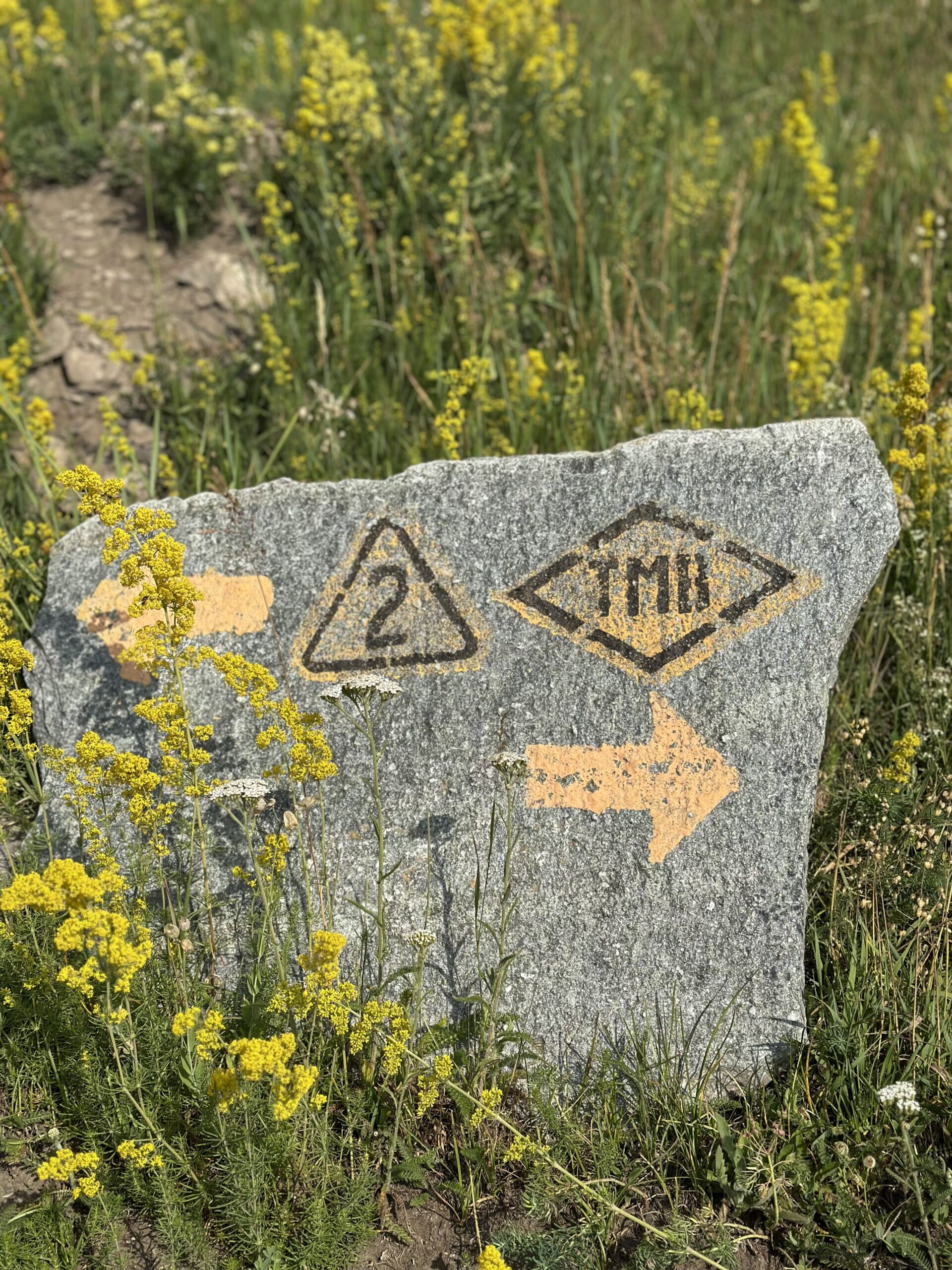 combien de jours pour faire le tour du mont blanc (5)