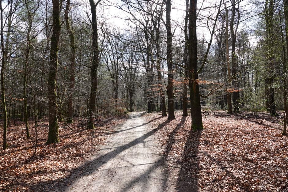 randonnee en belgique
