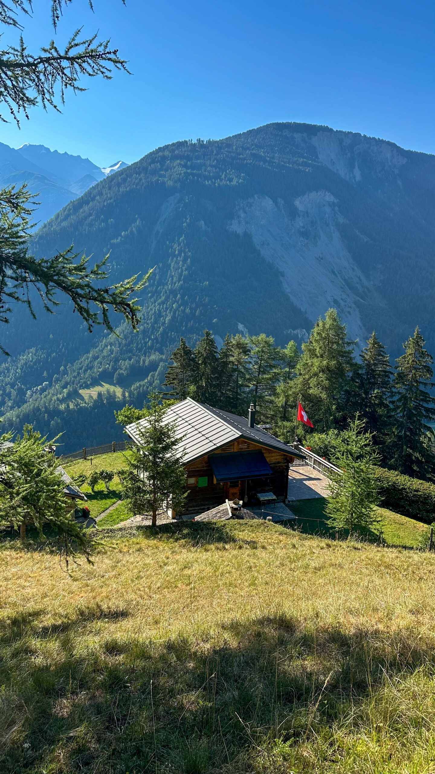 tour du mont blanc randonnée