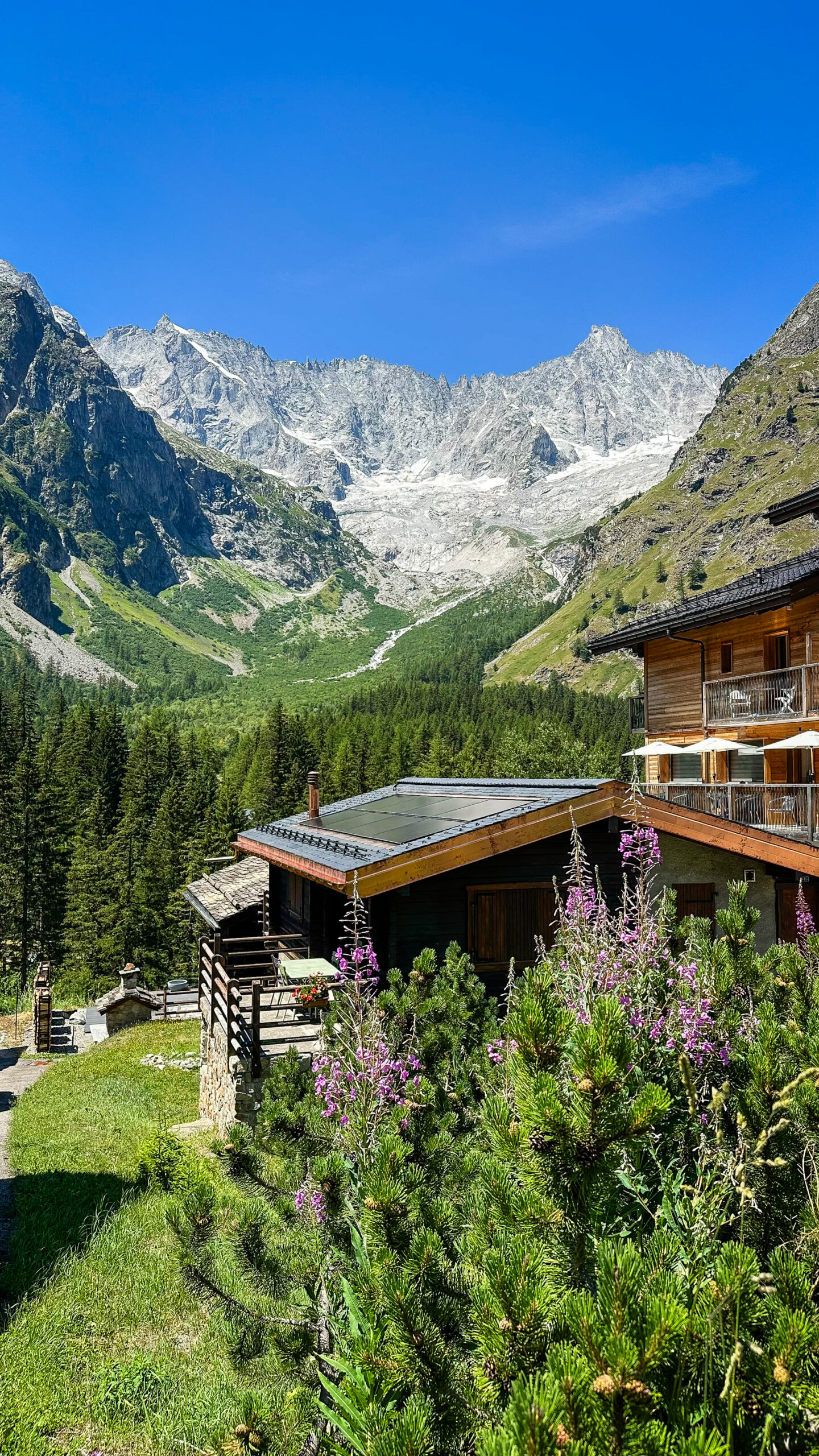 tour du mont blanc randonnée