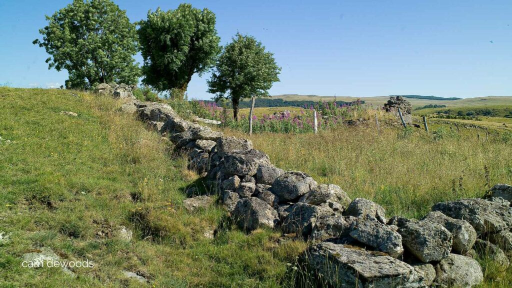 camino de santiago in france (4)