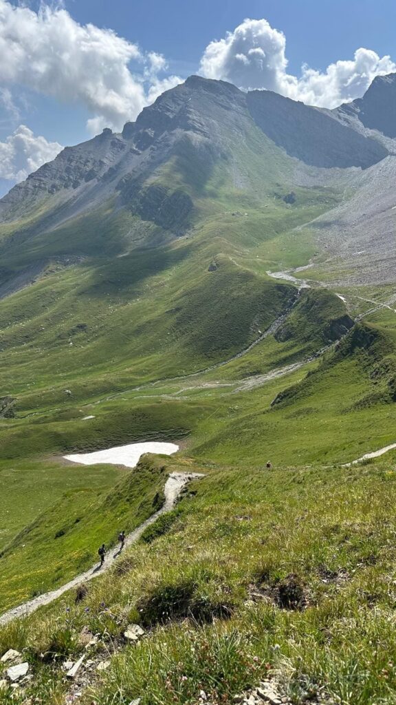 Paysage de montagne verdoyant sur le Tour du Mont Blanc
