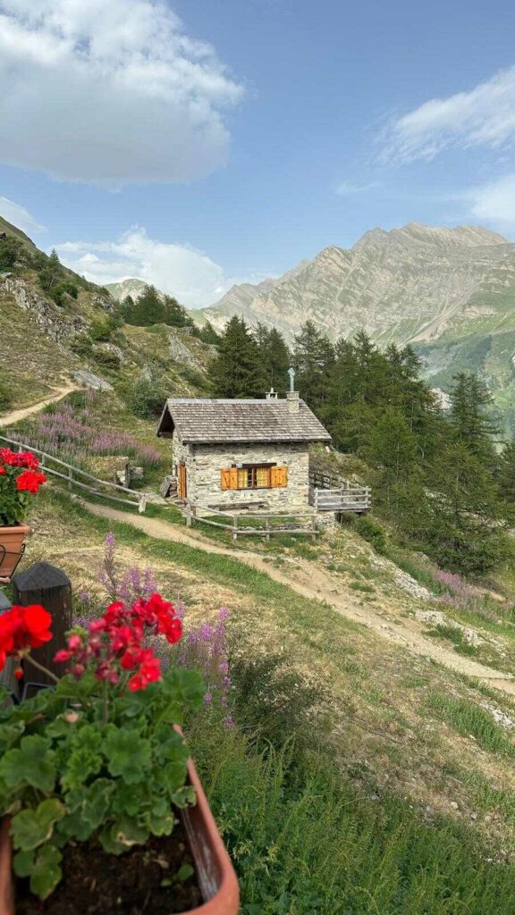 tour du mont blanc hike (4)